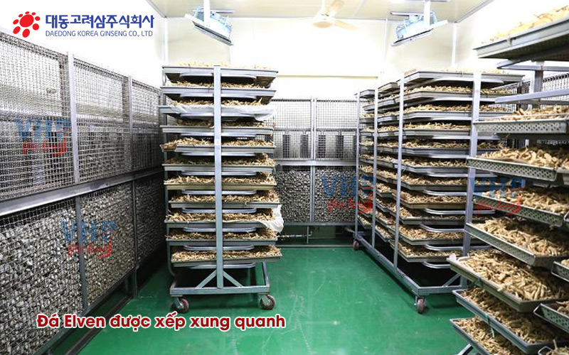 Công nghệ sấy Hồng sâm củ khô bằng Đá Elven độc quyền tại nhà máy Daedong Korea Ginseng